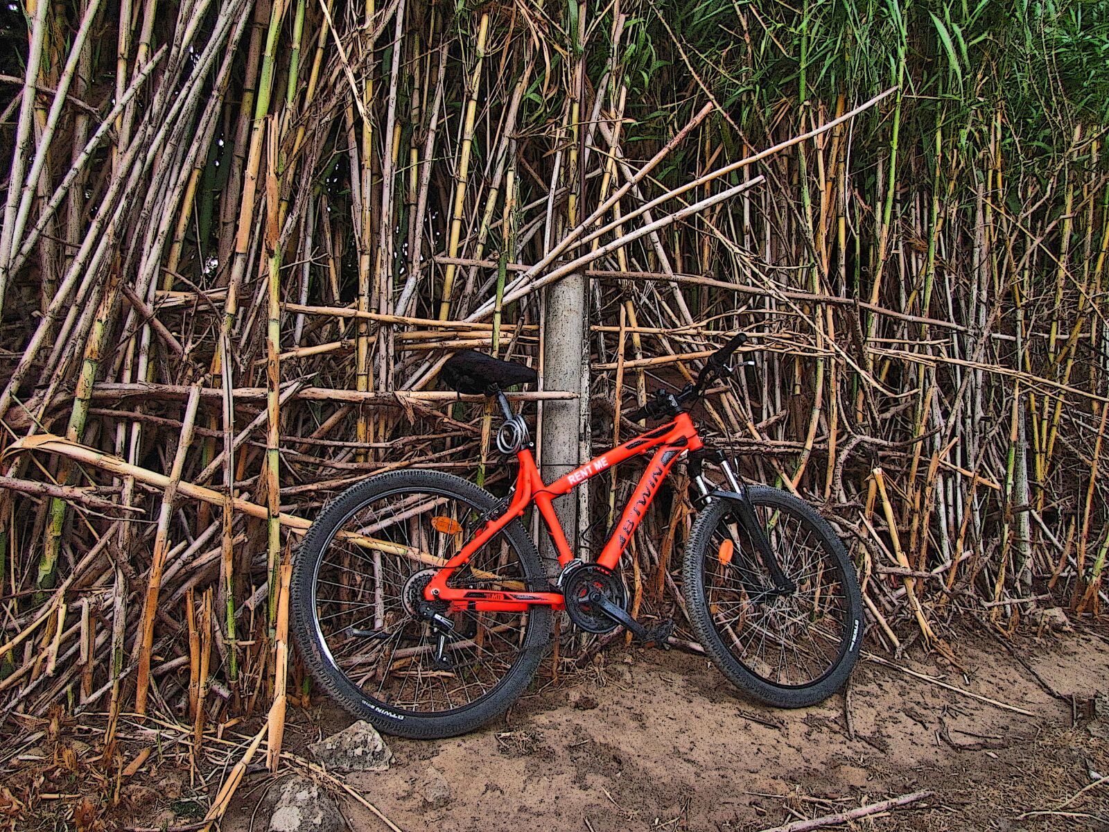 Canon PowerShot SX20 IS sample photo. Bike, cane, trail photography