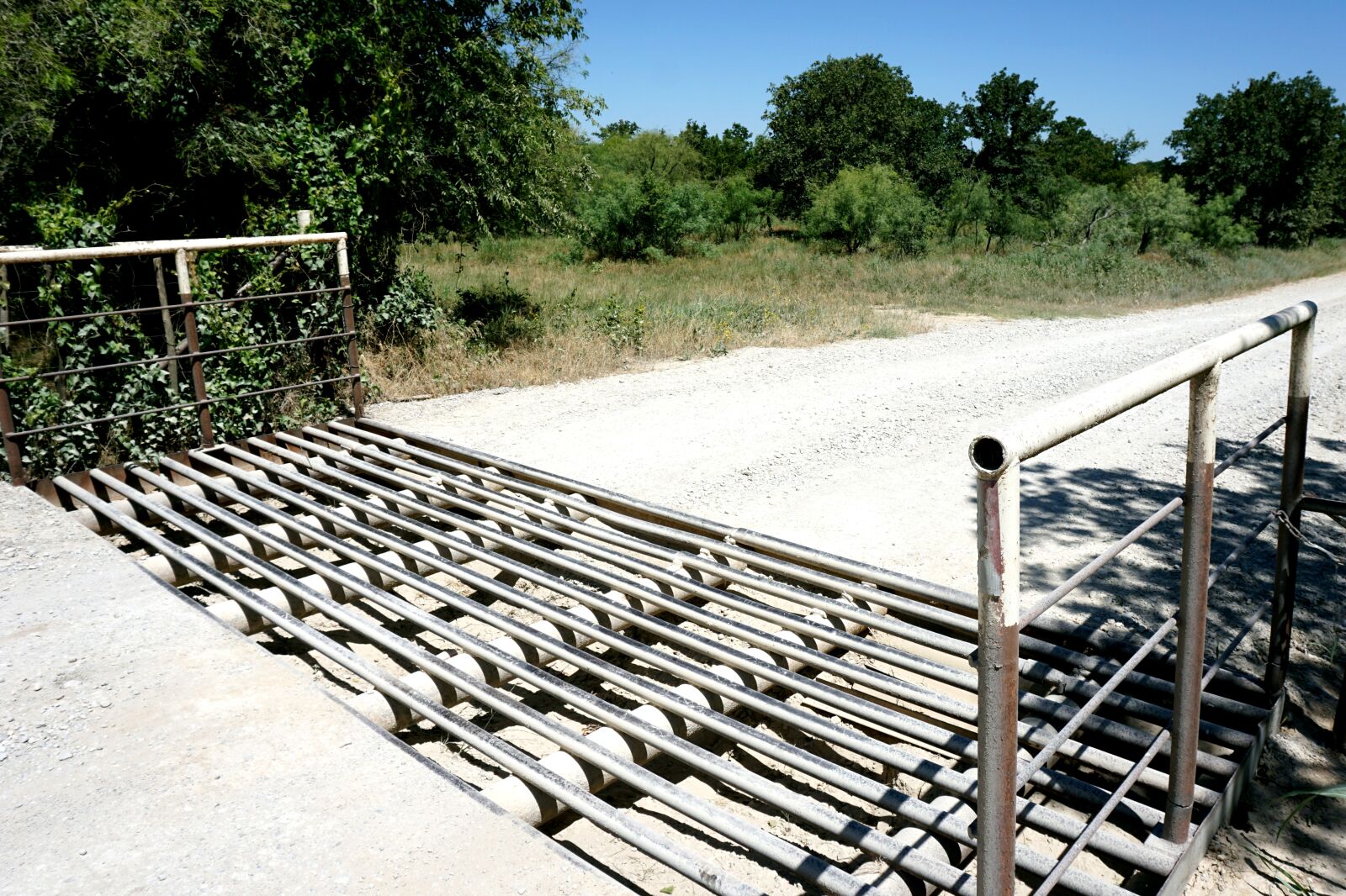 Sony a6000 sample photo. Cattle grid, stock grid photography