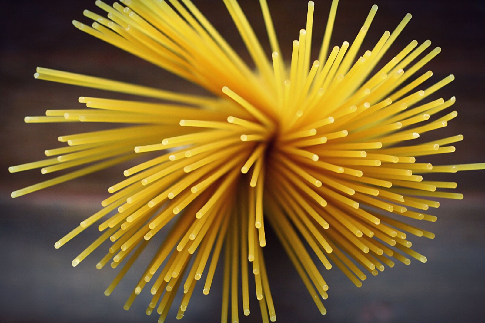 Canon EOS 1000D (EOS Digital Rebel XS / EOS Kiss F) sample photo. Pasta, raw, food photography