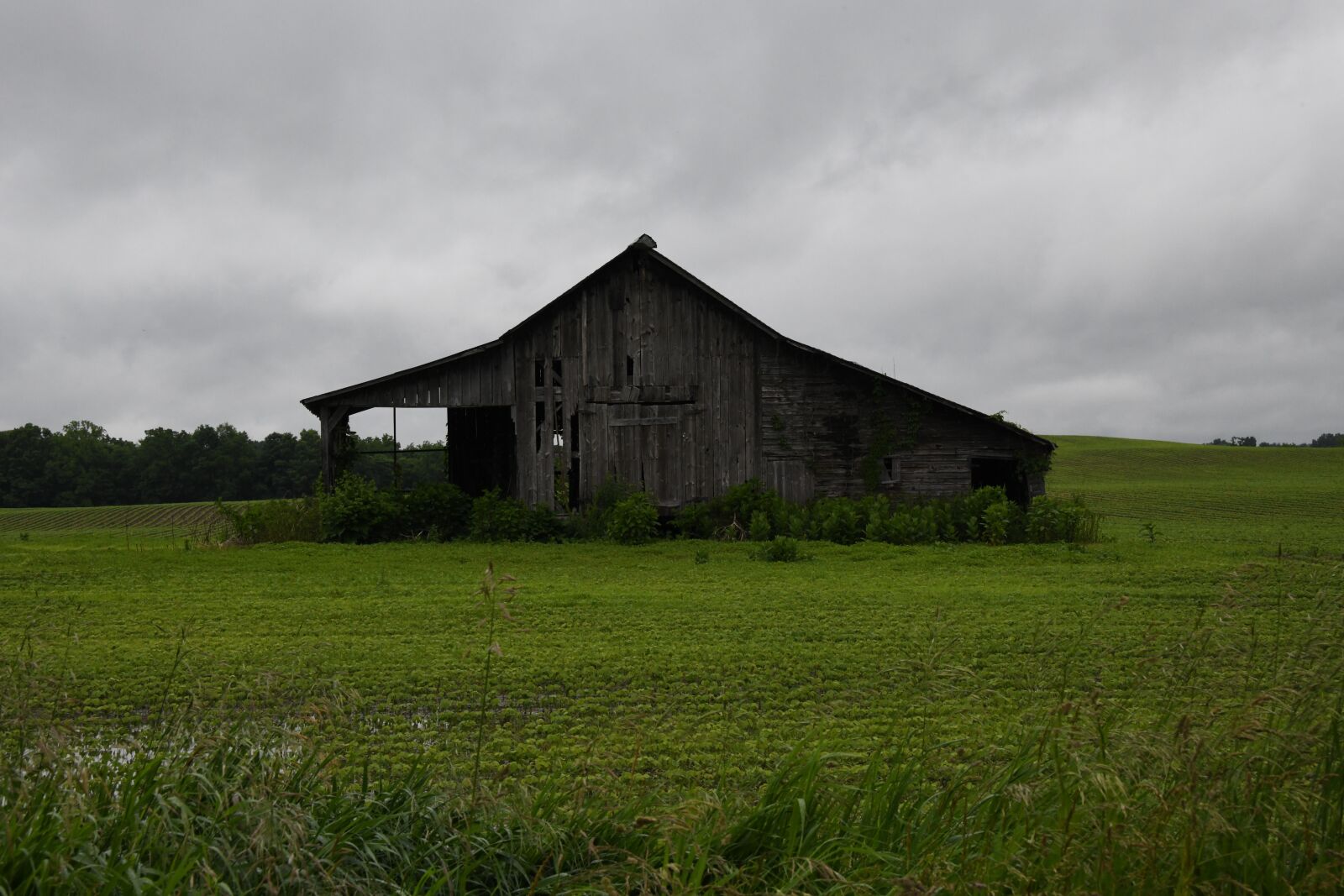 Nikon D850 sample photo. Barn, abandoned, vintage photography