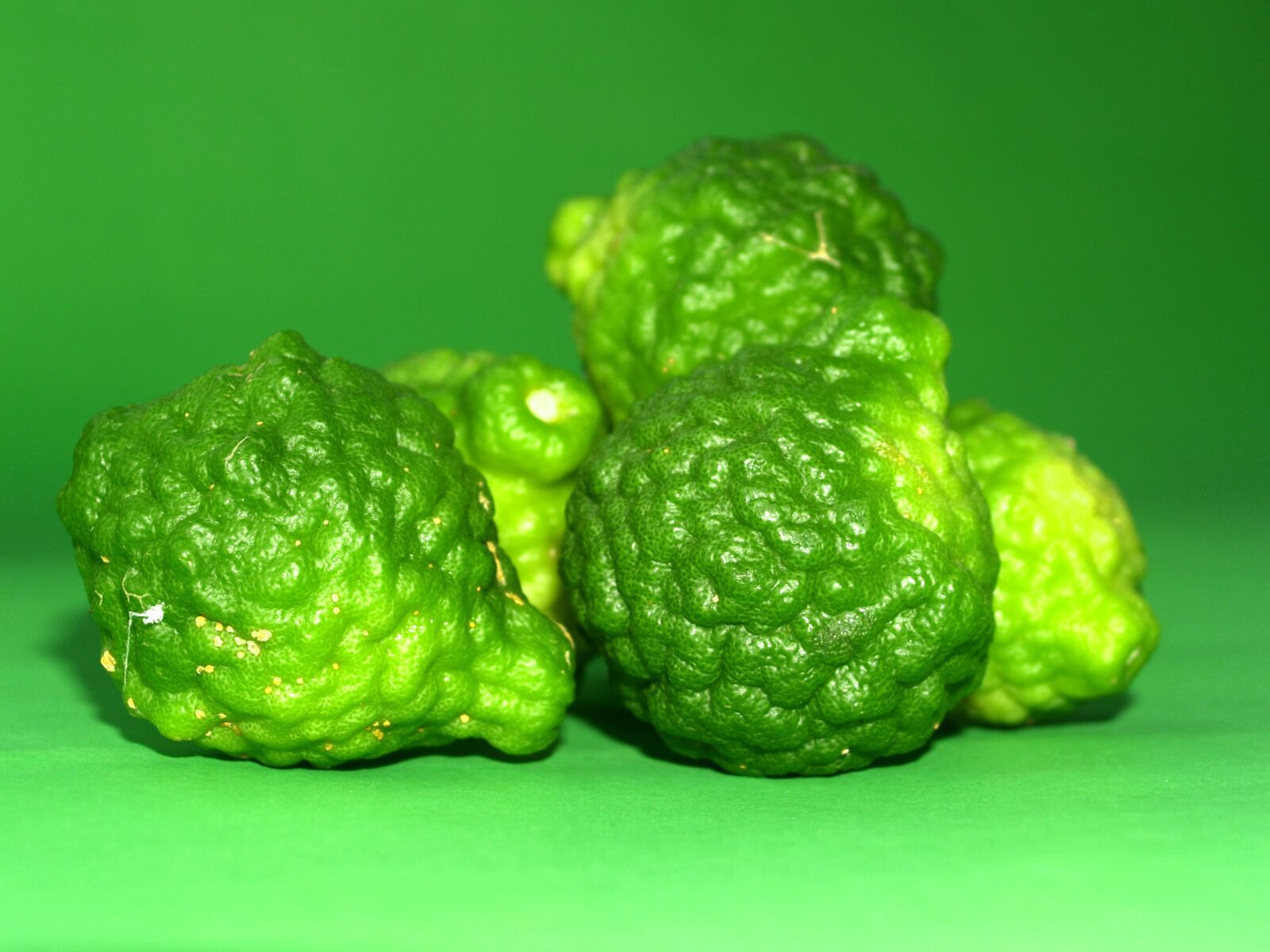 Olympus E-300 (EVOLT E-300) sample photo. Bergamot, fruit, leaf photography