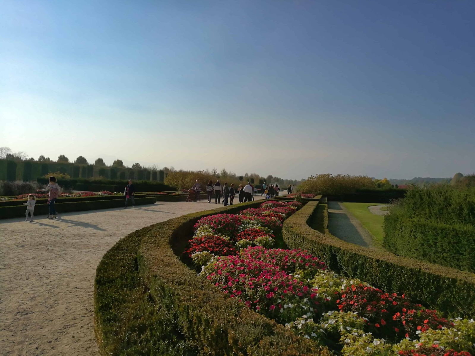 HUAWEI Honor 8 sample photo. Garden, blue sky, crowd photography