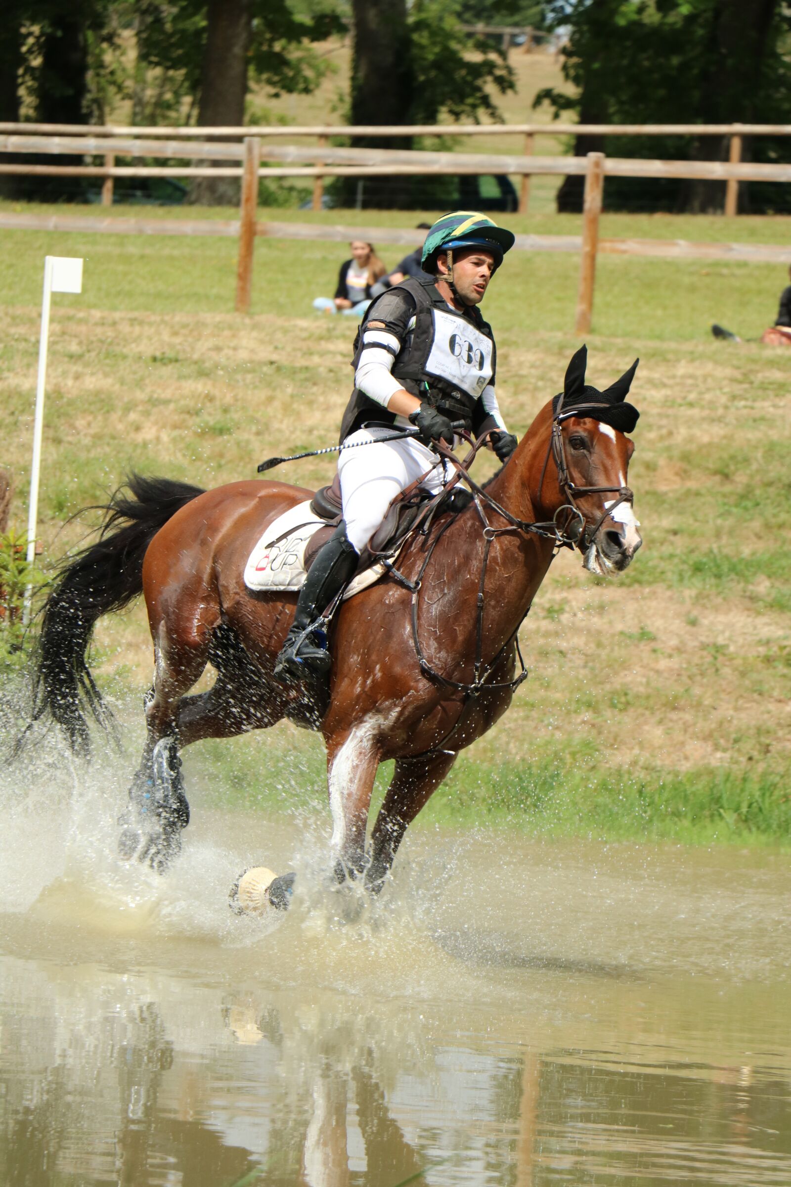 Canon EOS 750D (EOS Rebel T6i / EOS Kiss X8i) sample photo. Haras du pin, national photography