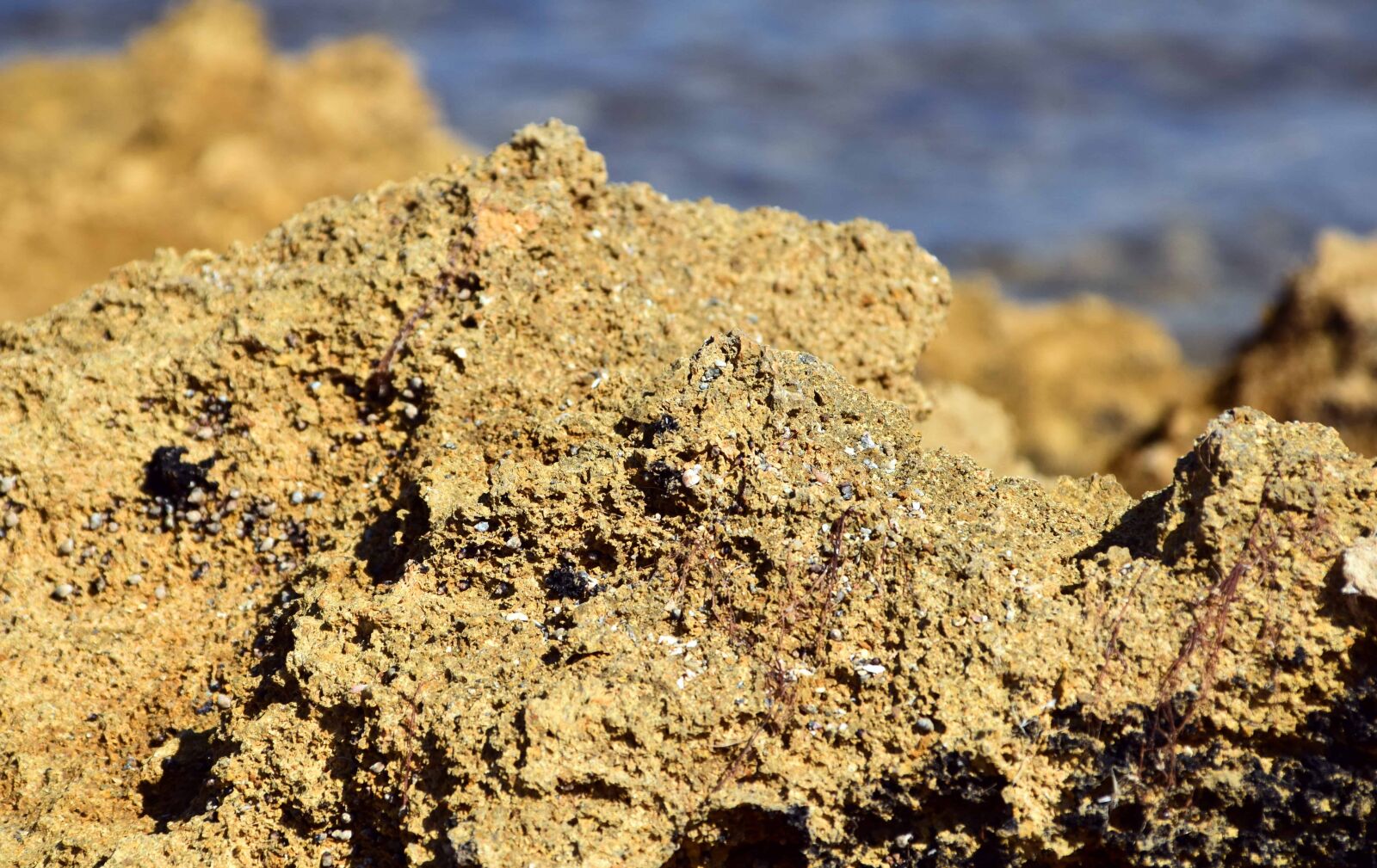 Nikon D3300 sample photo. Sand, soil, texture, coast photography