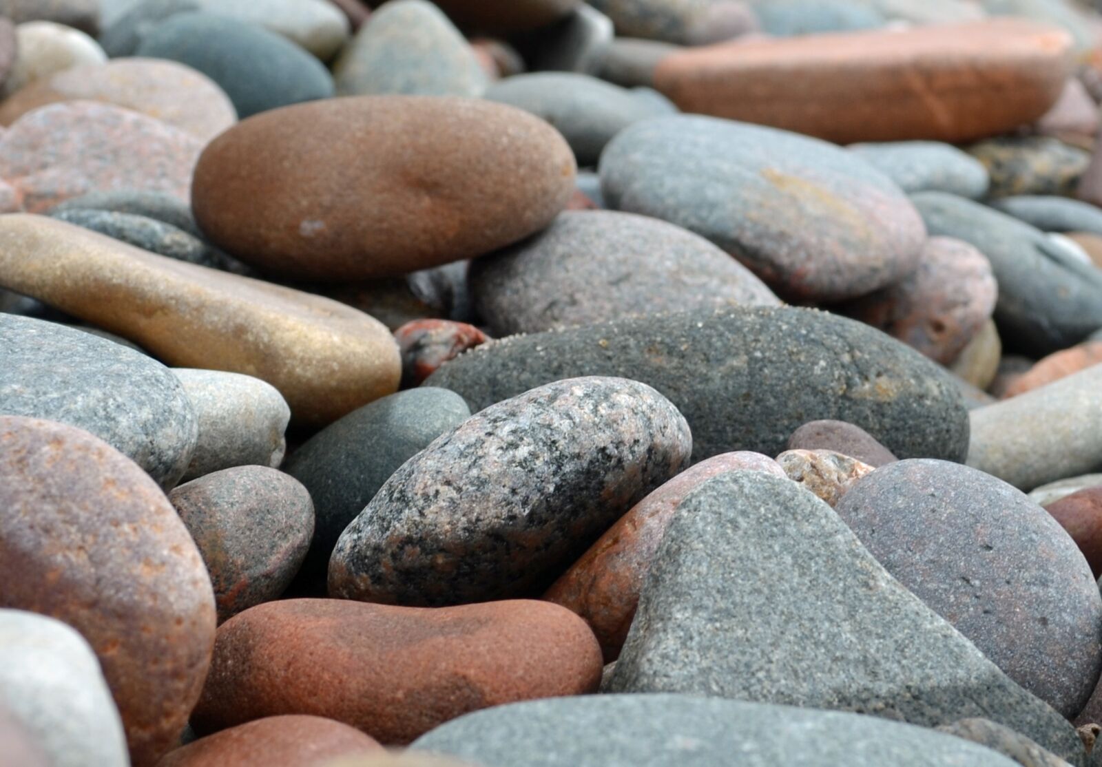 Nikon D5100 sample photo. Stones, pebble, bank photography