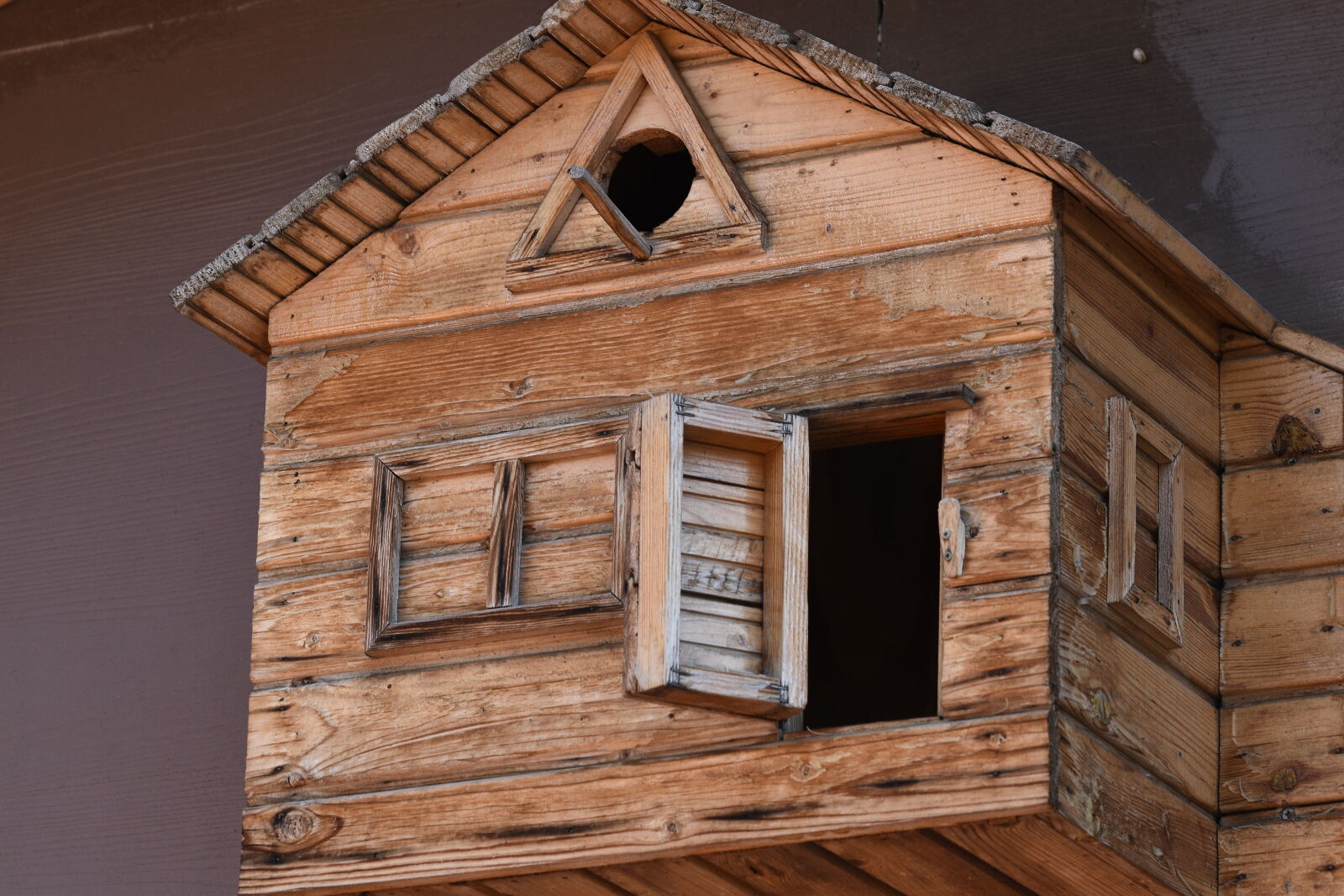 Nikon D5500 sample photo