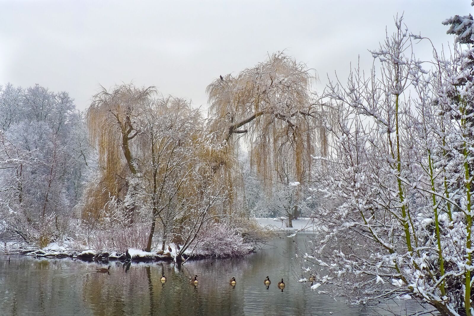 Olympus OM-D E-M10 sample photo. Winter, snow, wintry photography