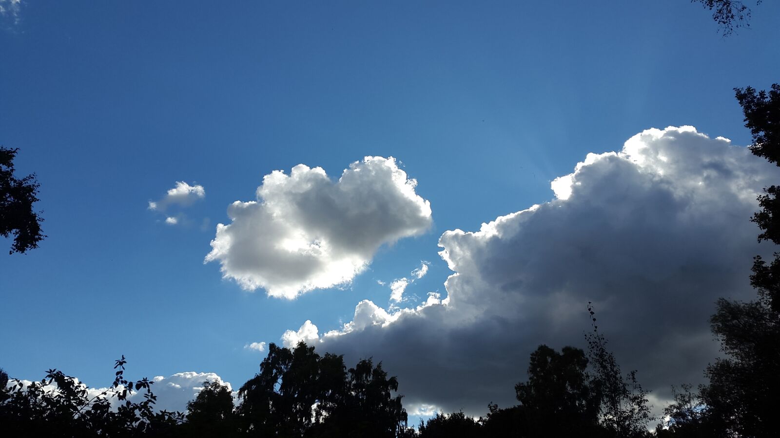 Samsung Galaxy Alpha sample photo. Light, sun, sky photography