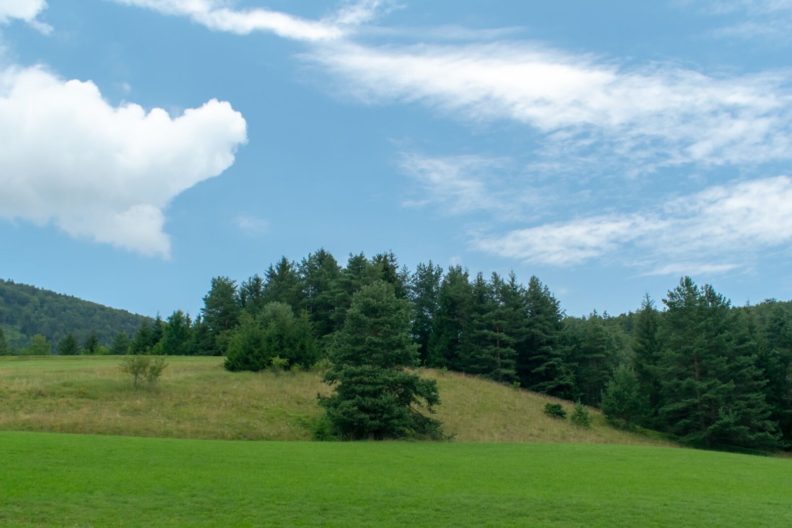 Nikon D3300 sample photo. Landscape, nature, green photography