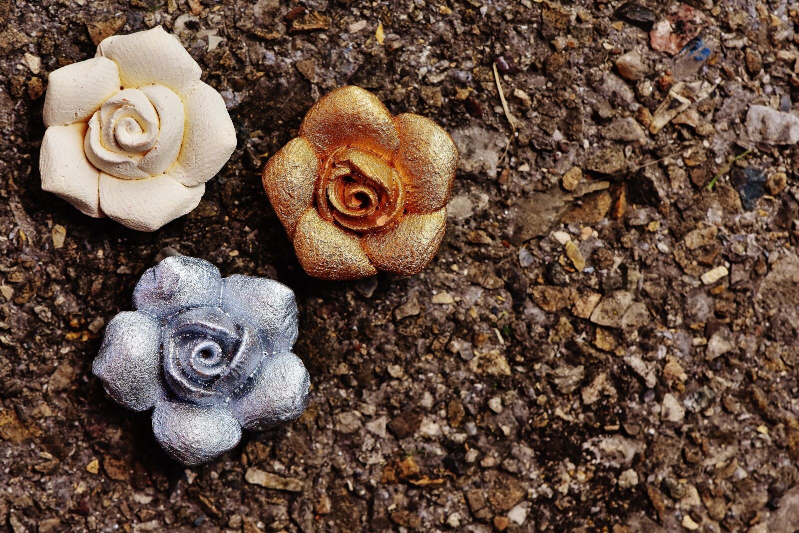 Nikon D7200 sample photo. Roses, silver, gold photography