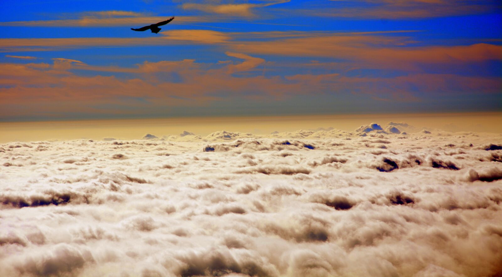 Nikon D7100 sample photo. Fly, clouds, sky photography