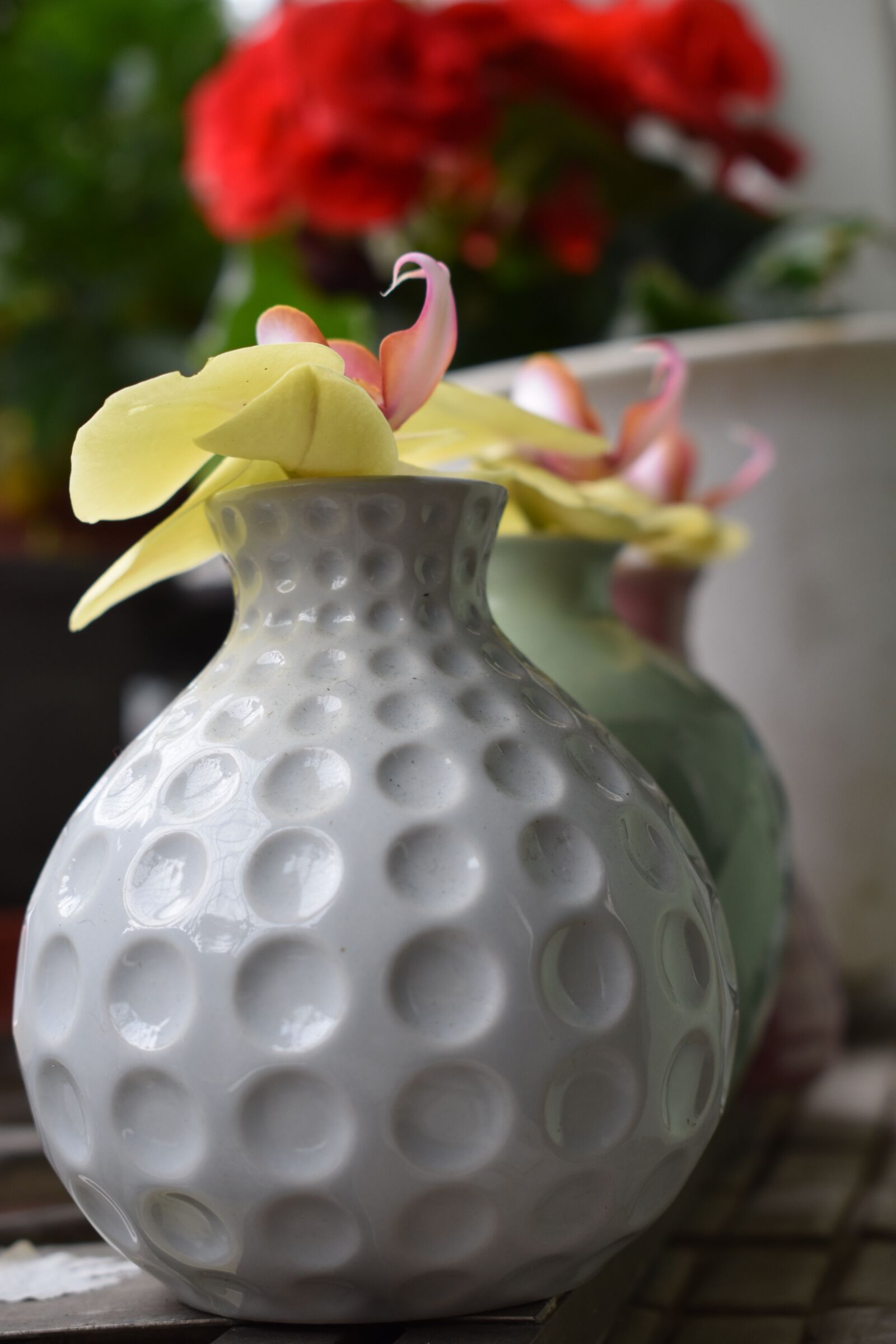 Nikon D3400 sample photo. Flower, nature, decoration photography