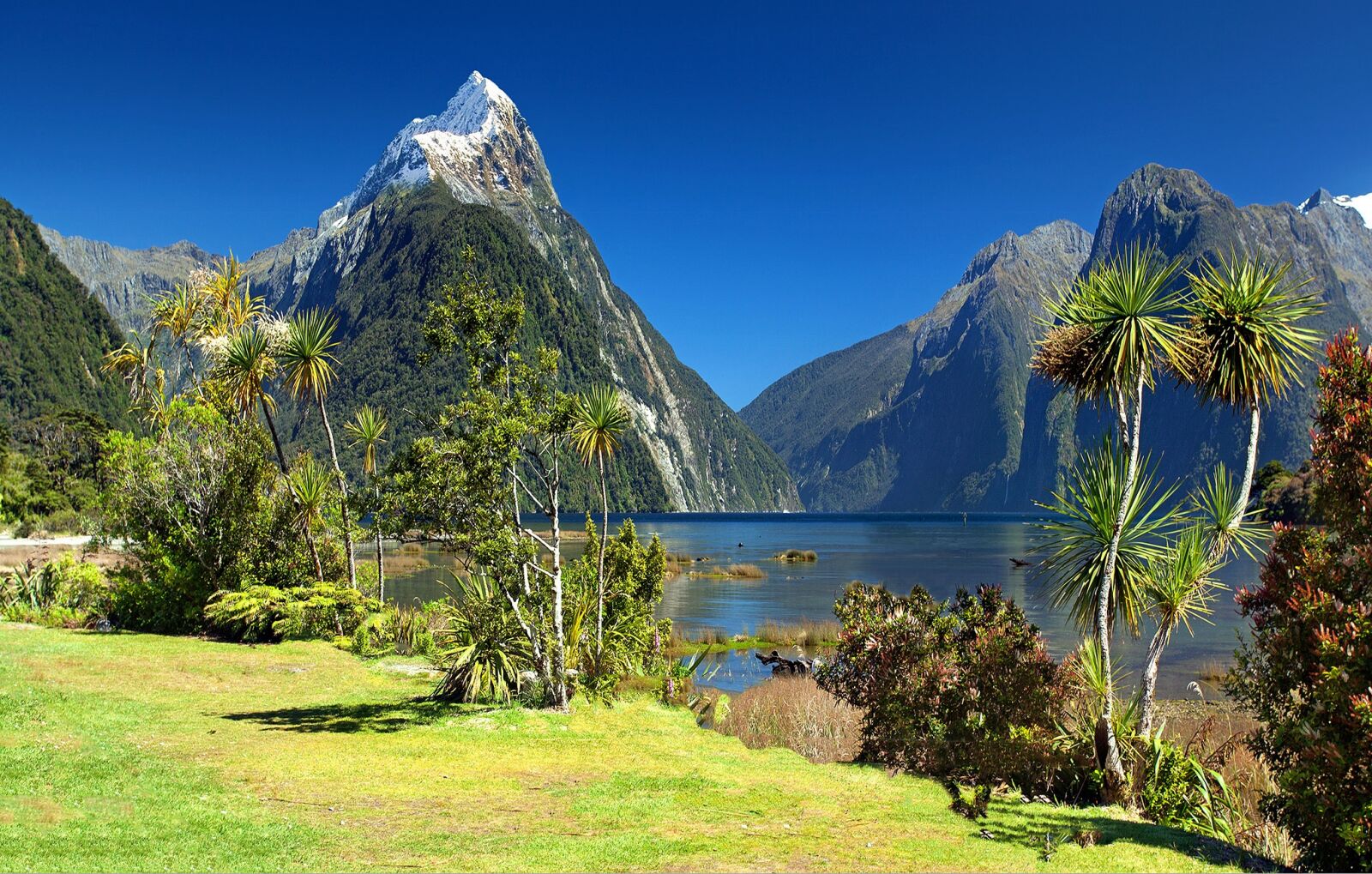 Canon EOS 5D Mark II sample photo. New zealand, milford sound photography