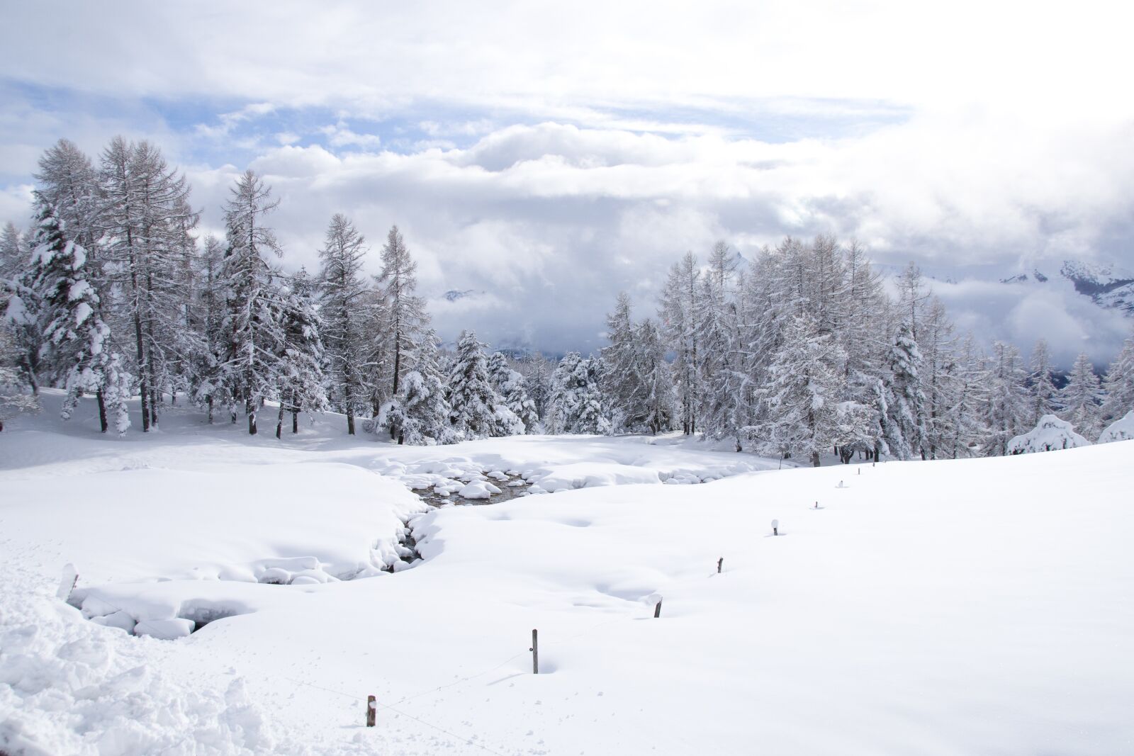 Pentax K-S2 sample photo. Snow, winter, cold photography