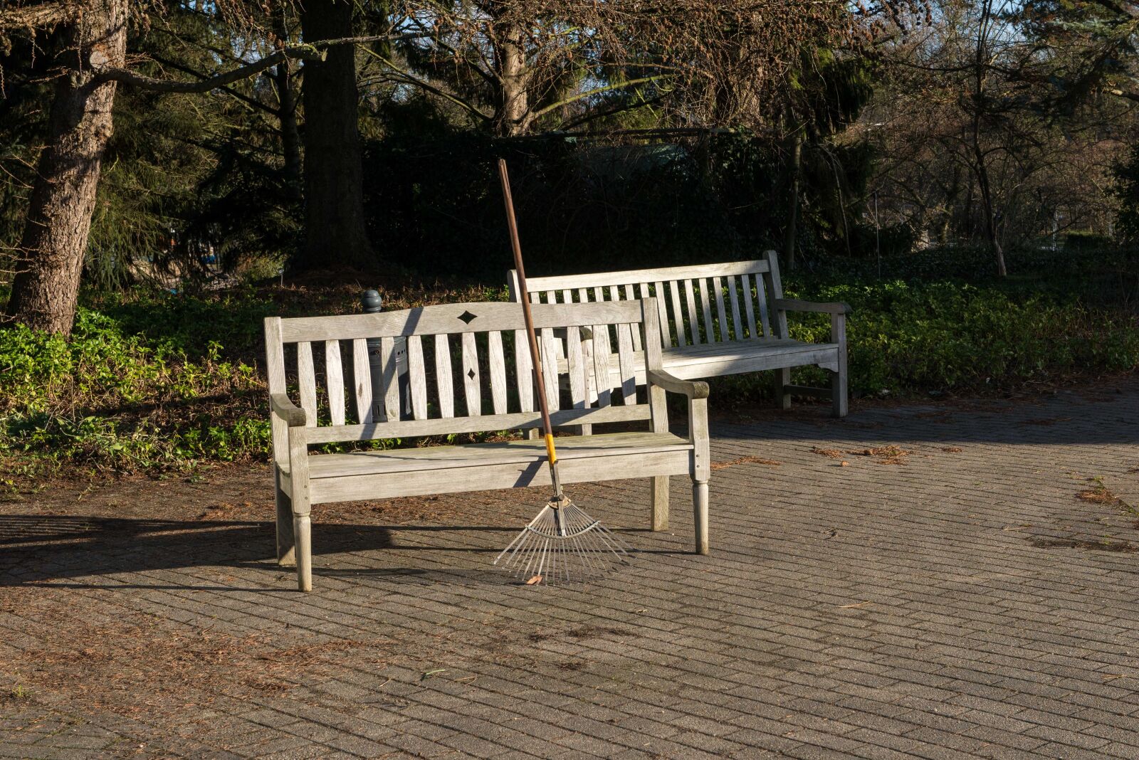 Nikon D610 sample photo. Break, relaxation, park bench photography