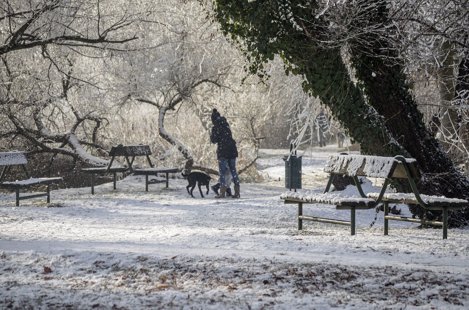 Nikon D5100 sample photo. Cold, winter, snow photography