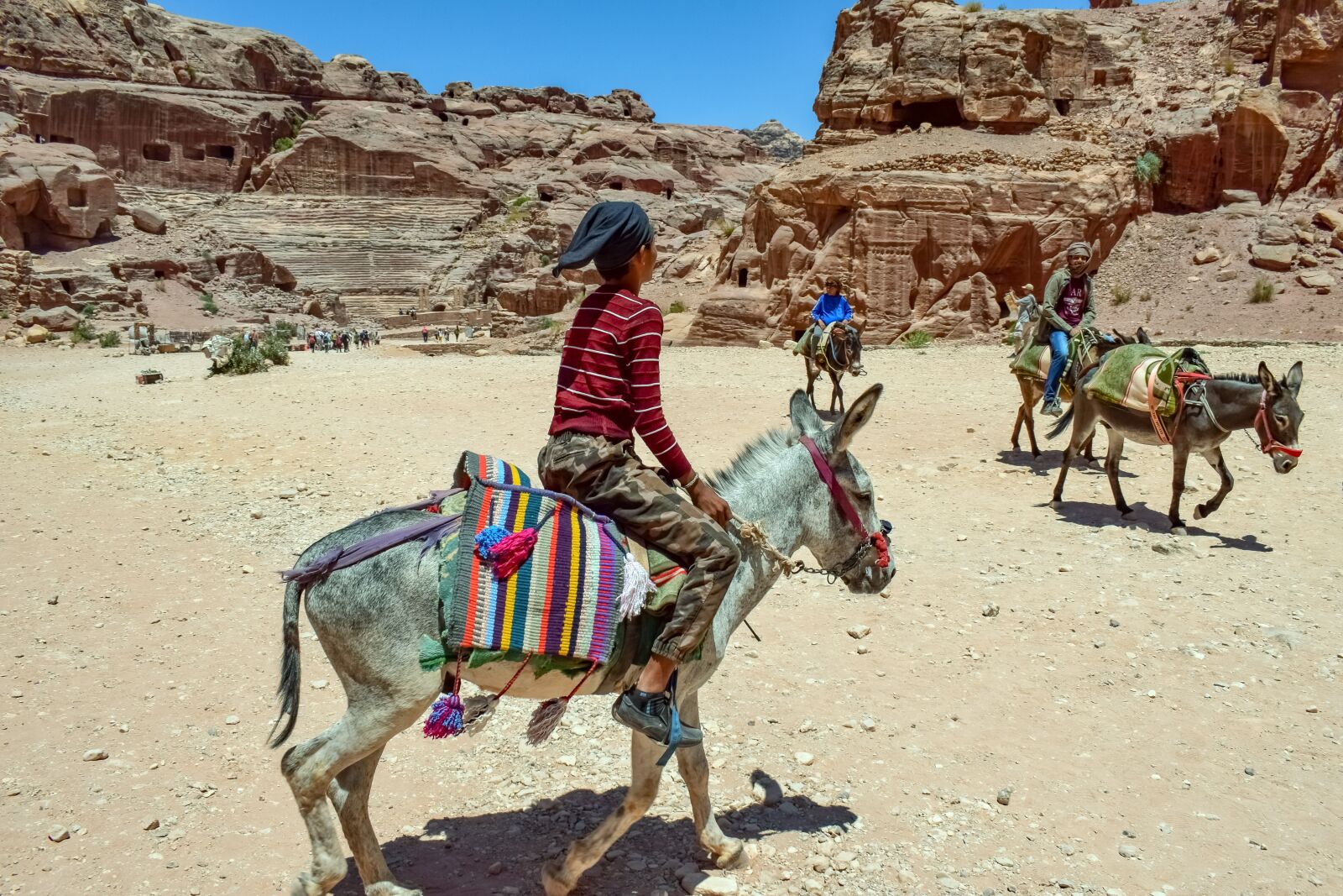 Nikon D3300 sample photo. Donkeys, transportation, animals photography