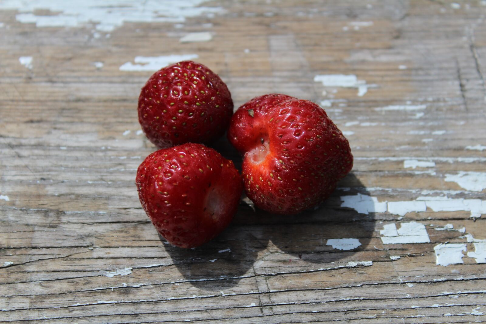 Canon EOS 1300D (EOS Rebel T6 / EOS Kiss X80) sample photo. Strawberries, village, summer photography
