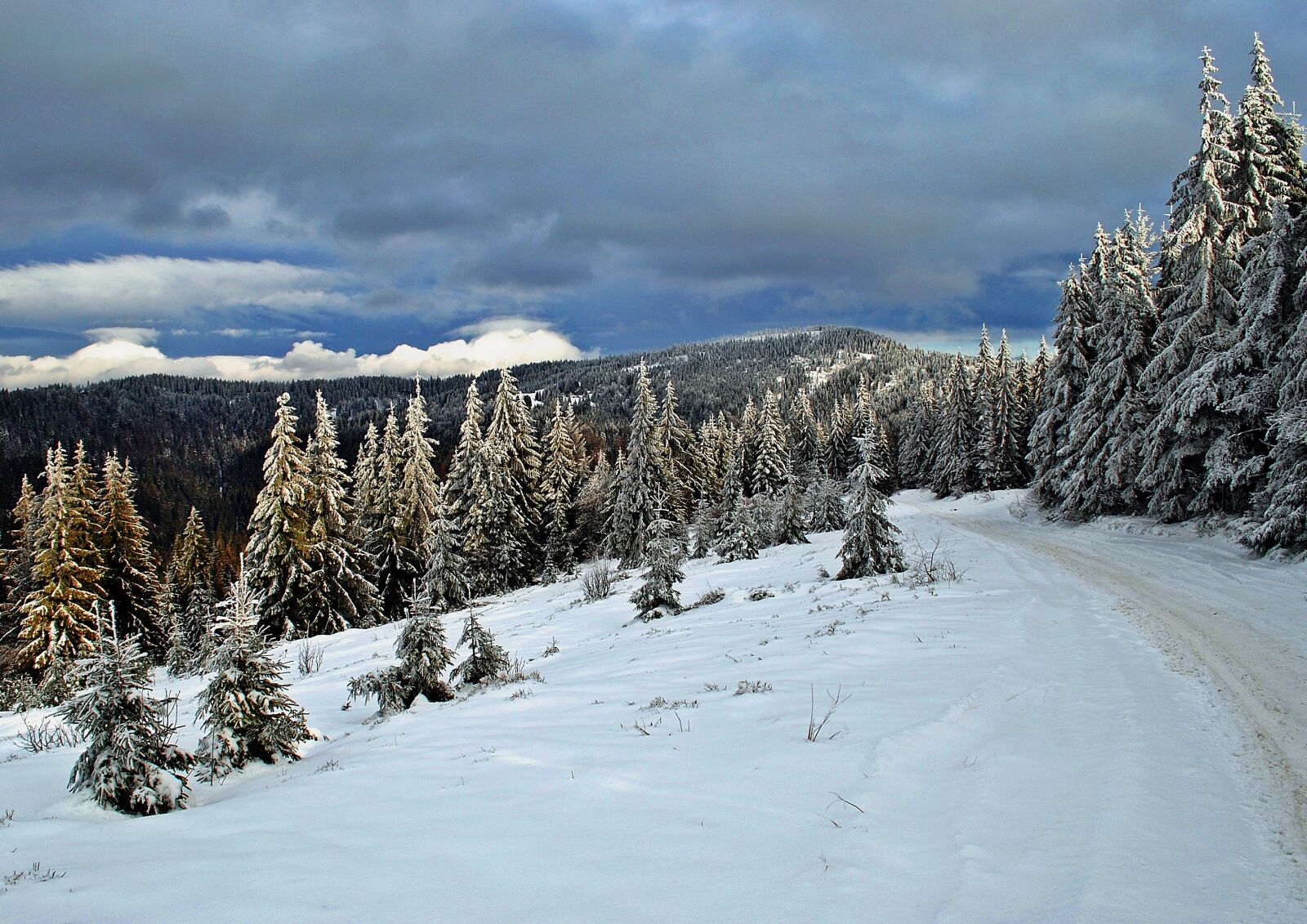 Nikon D80 sample photo. Winter, way, snow photography