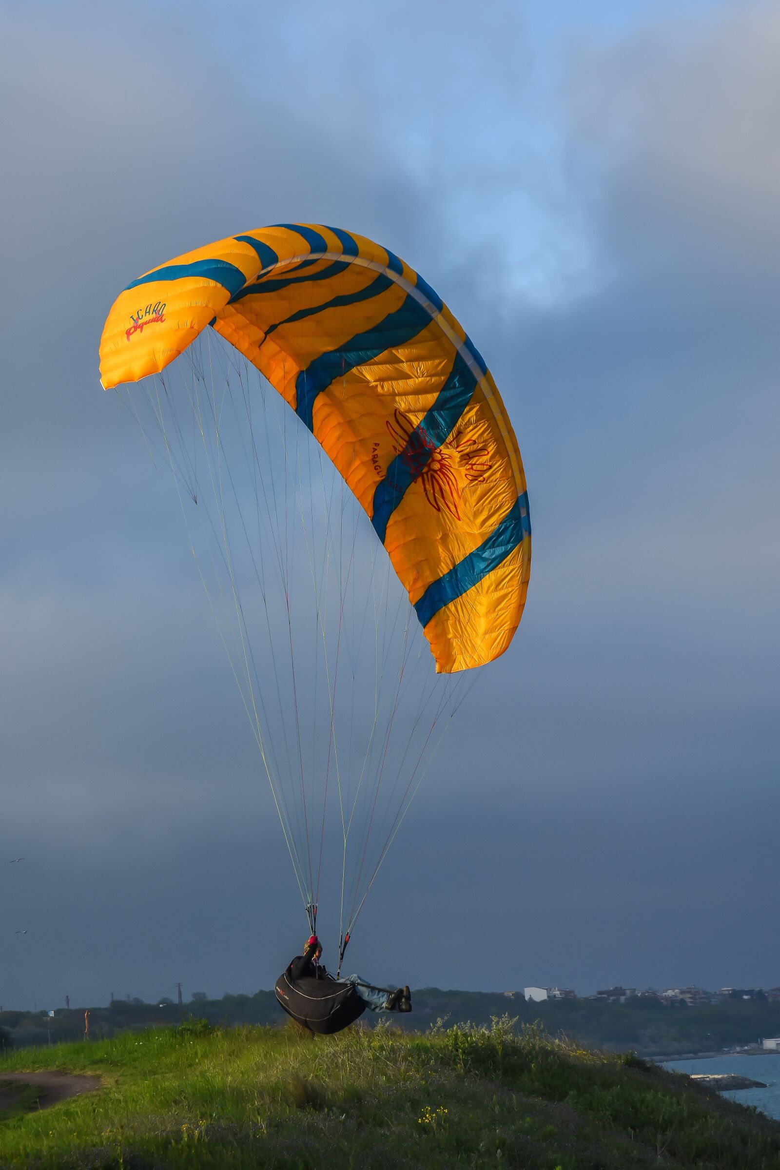 Nikon D7200 sample photo. Parachute, sky, air photography