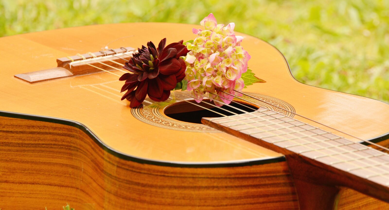 Nikon D5200 sample photo. Guitar, musical instrument, music photography