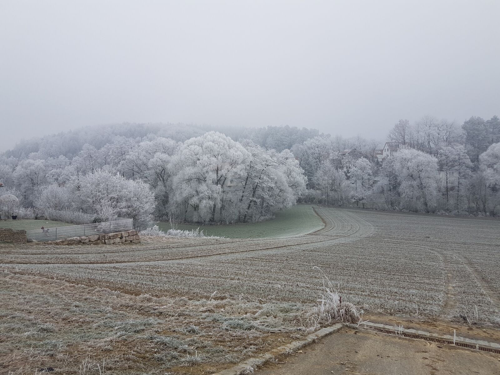 Samsung Galaxy S7 sample photo. Landscape, hoarfrost, frost photography