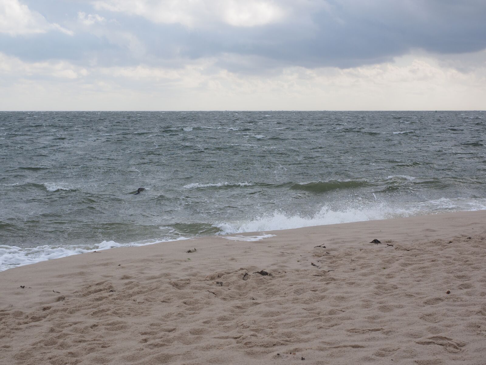 Olympus OM-D E-M1 + Olympus M.Zuiko Digital ED 12-40mm F2.8 Pro sample photo. Sea, water, sylt photography