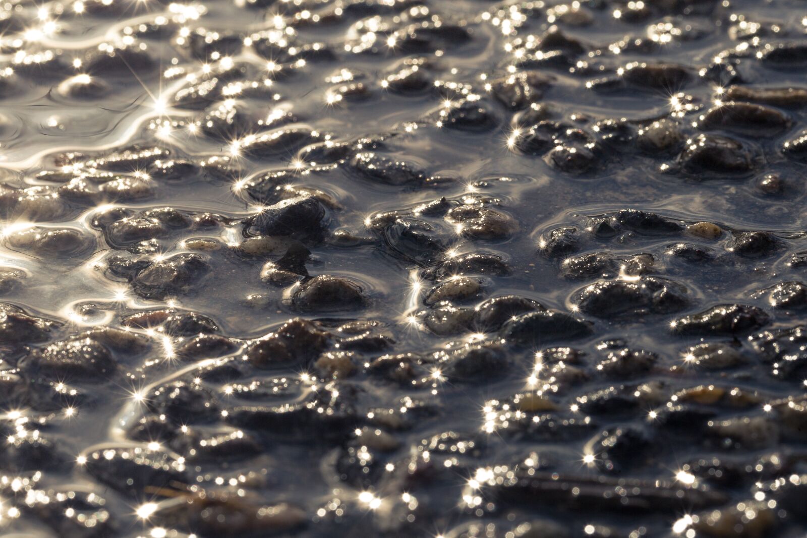 Canon EOS 6D sample photo. Pavement, wet, water photography