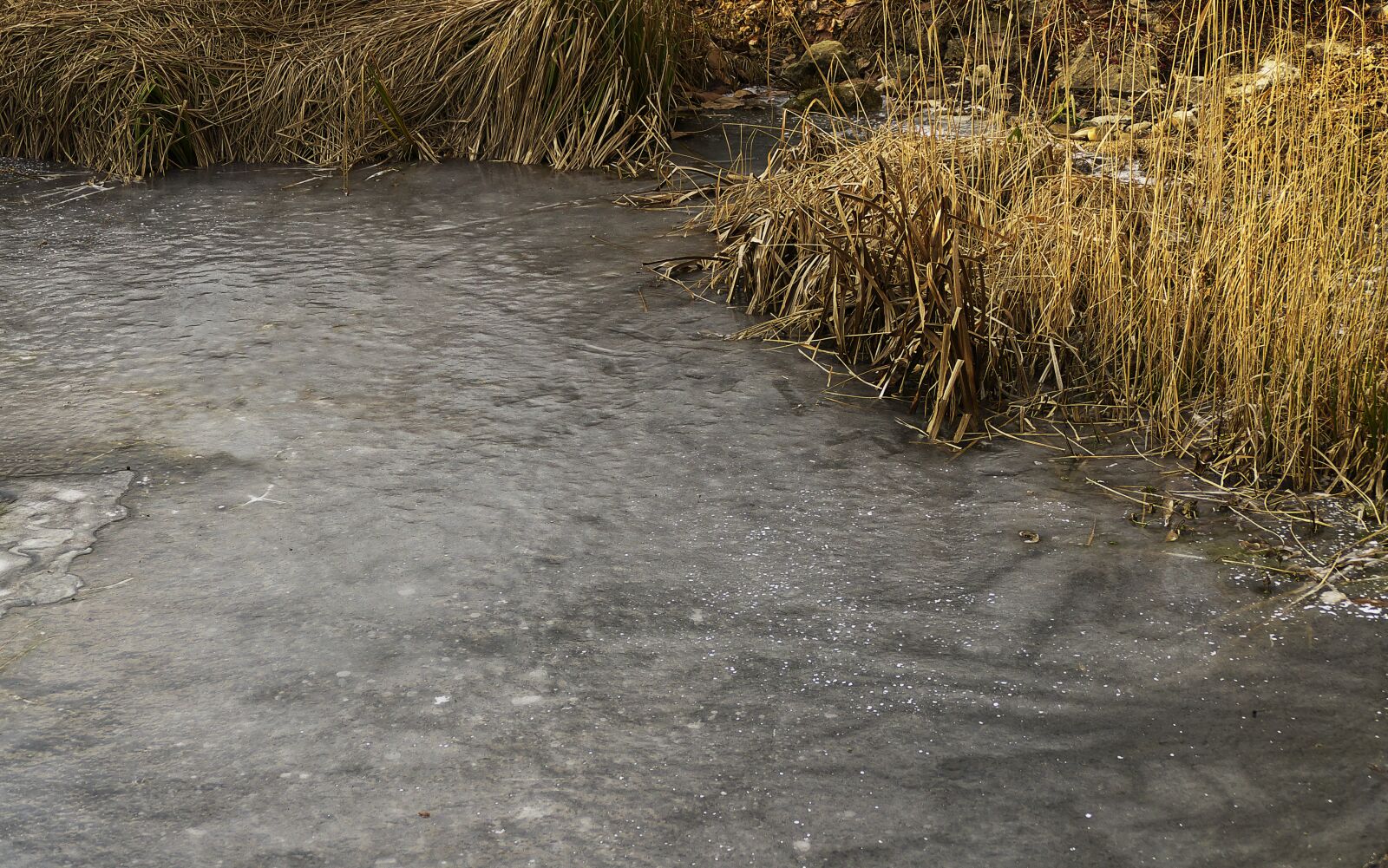 Panasonic Lumix DMC-FZ1000 sample photo. Water, icy, eiskristalle photography
