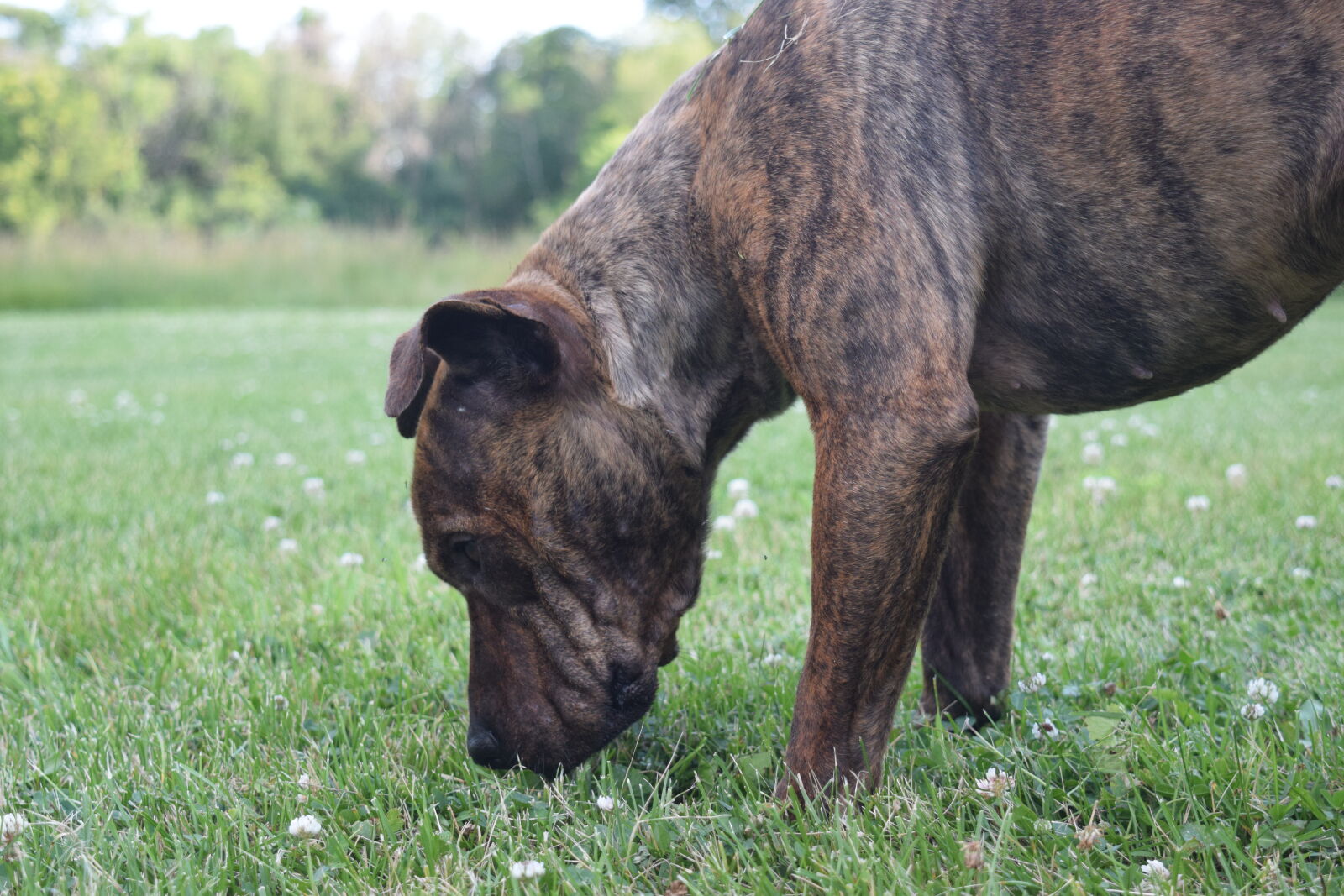 Nikon D3300 sample photo