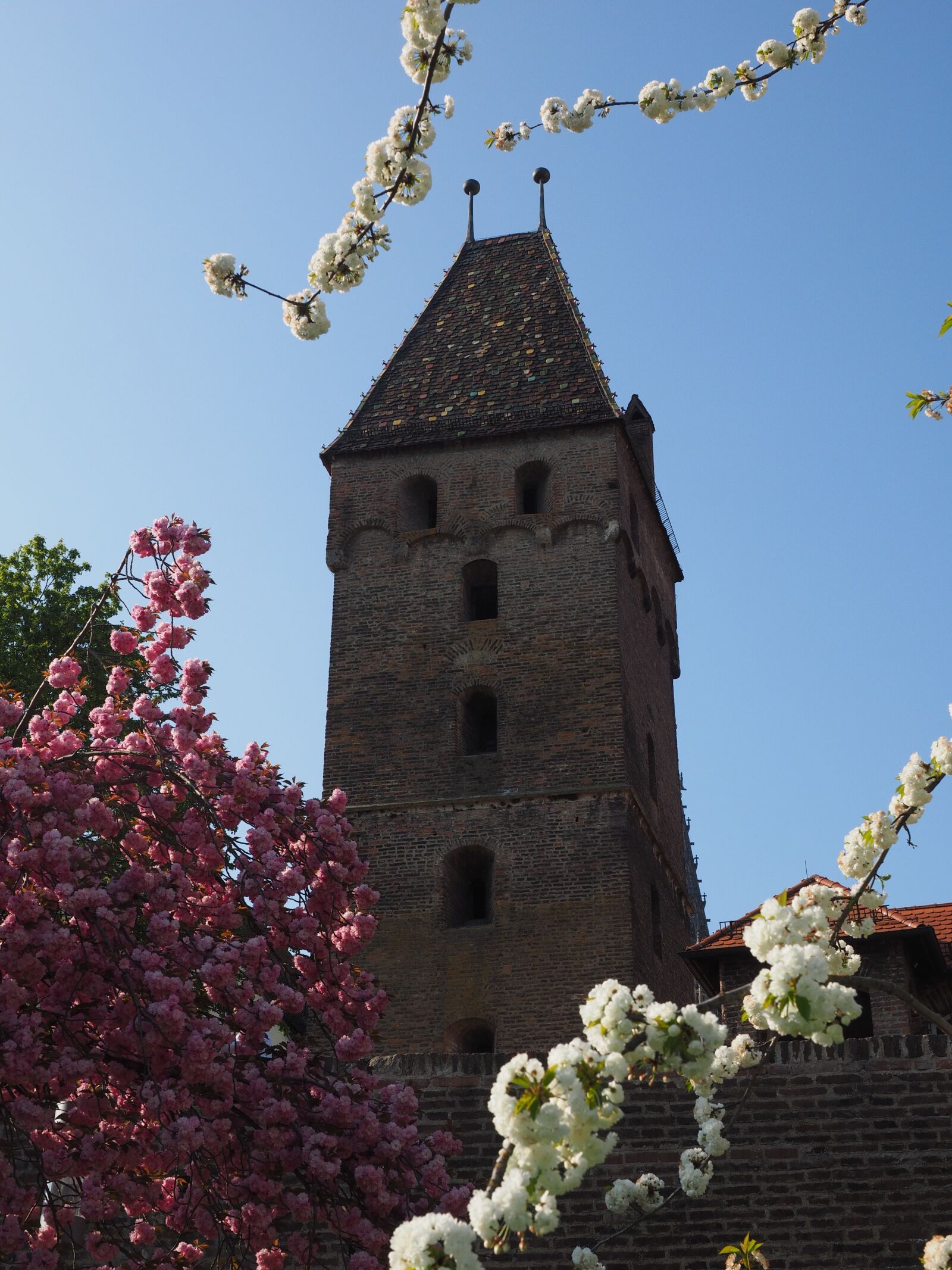 Olympus OM-D E-M1 + Olympus M.Zuiko Digital ED 12-40mm F2.8 Pro sample photo. Metzgerturm, ulm, tower photography