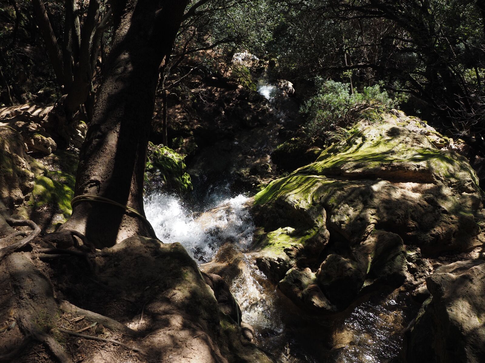 Olympus OM-D E-M1 + Olympus M.Zuiko Digital ED 12-40mm F2.8 Pro sample photo. Salt des freu, waterfall photography