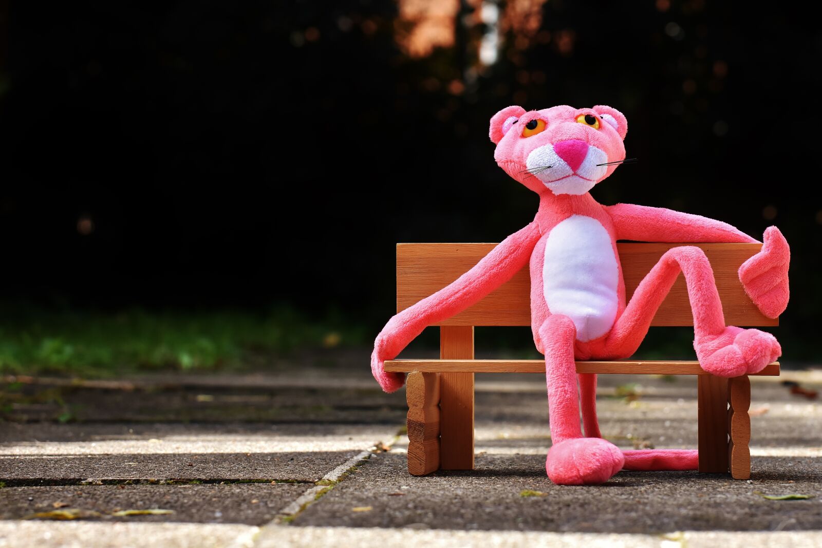 Nikon D7200 sample photo. Pink panther, bank, rest photography