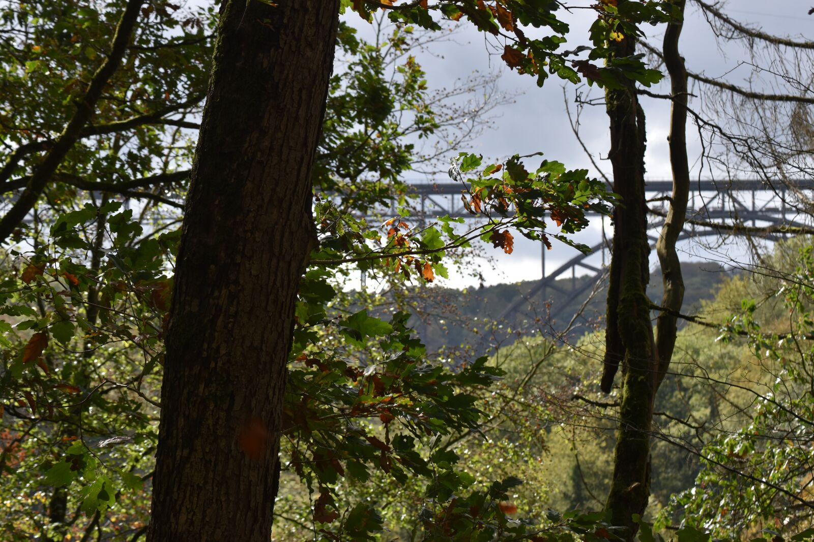 Nikon D5600 sample photo. M ngsten bridge, bridge photography