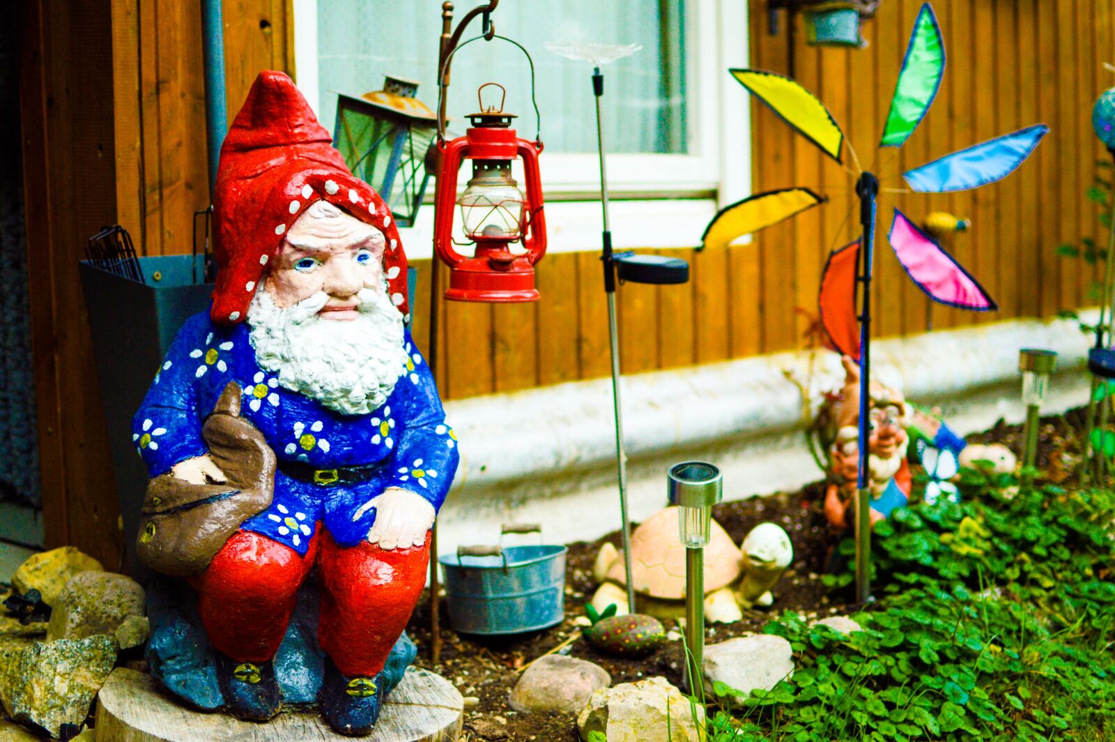 Nikon D3200 sample photo. Garden gnome, dwarf, flowers photography