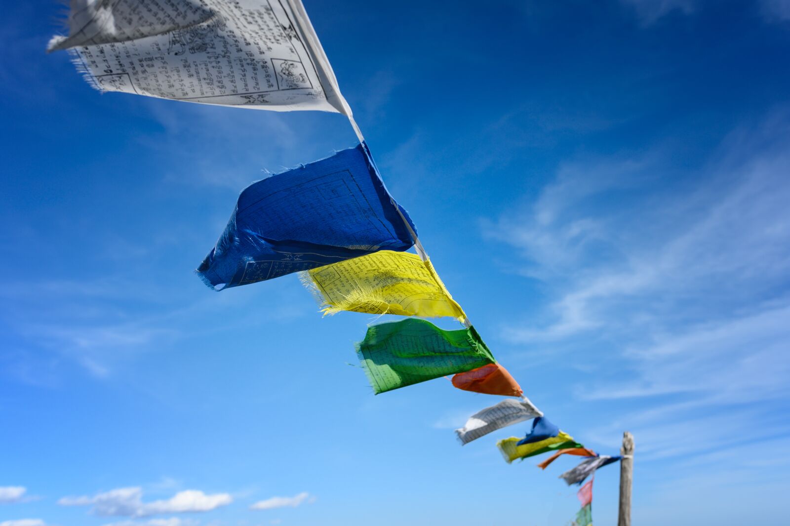 Nikon Z6 sample photo. Buddhism, flags, prayer flags photography