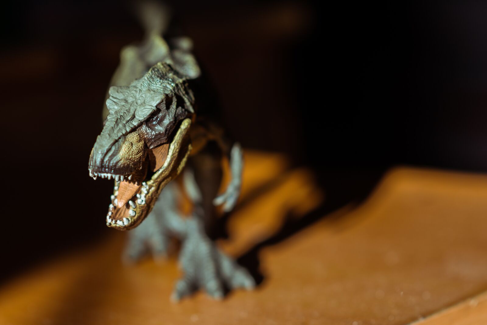 Nikon D5200 sample photo. Toy, animal, cute photography