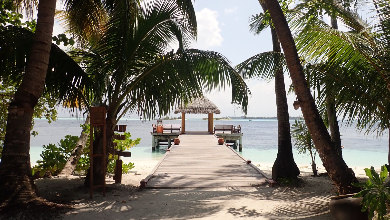 Olympus TG-5 sample photo. Palm, beach, tree photography