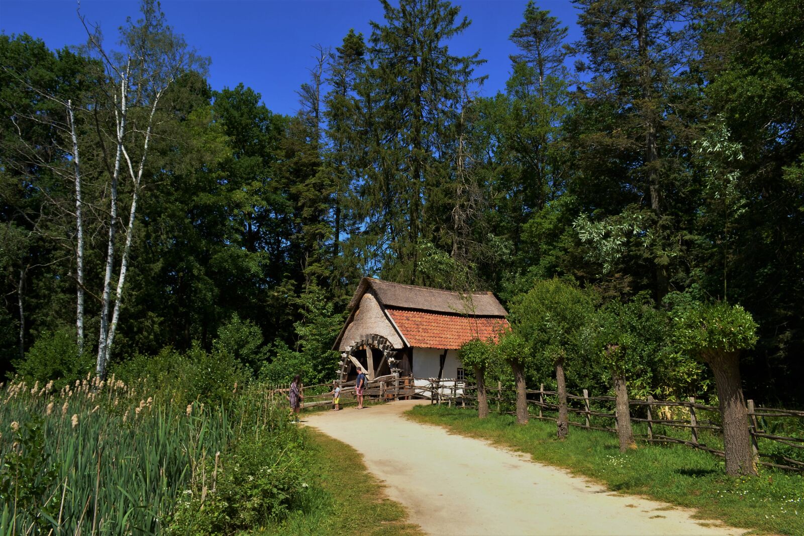 Nikon D3100 sample photo. Open air museum, water photography