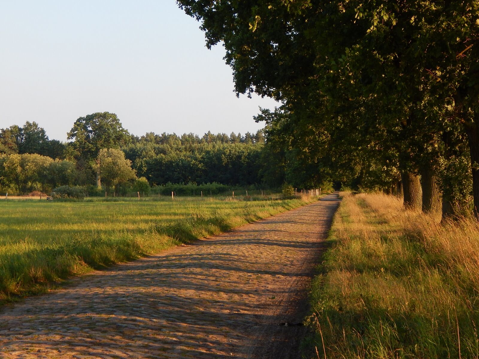 Nikon Coolpix L830 sample photo. Road, village, trees photography