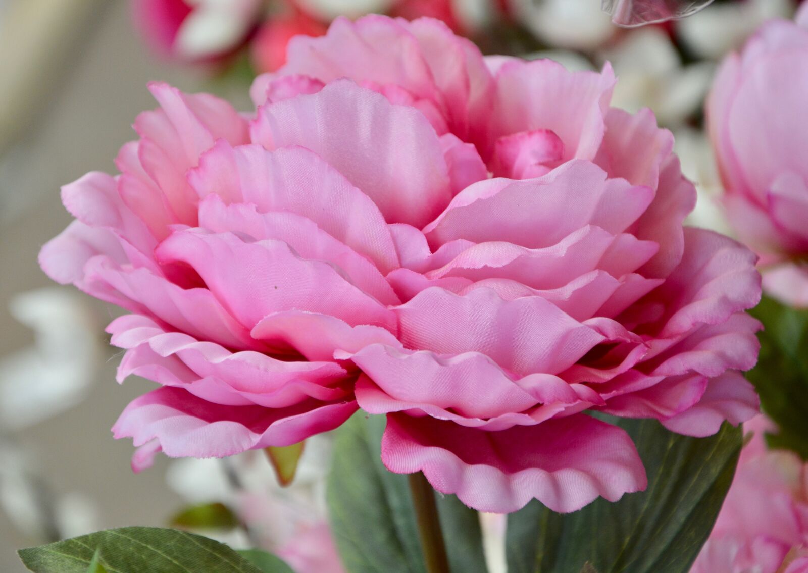 Nikon D5200 sample photo. Flower, fabric flower, decorative photography