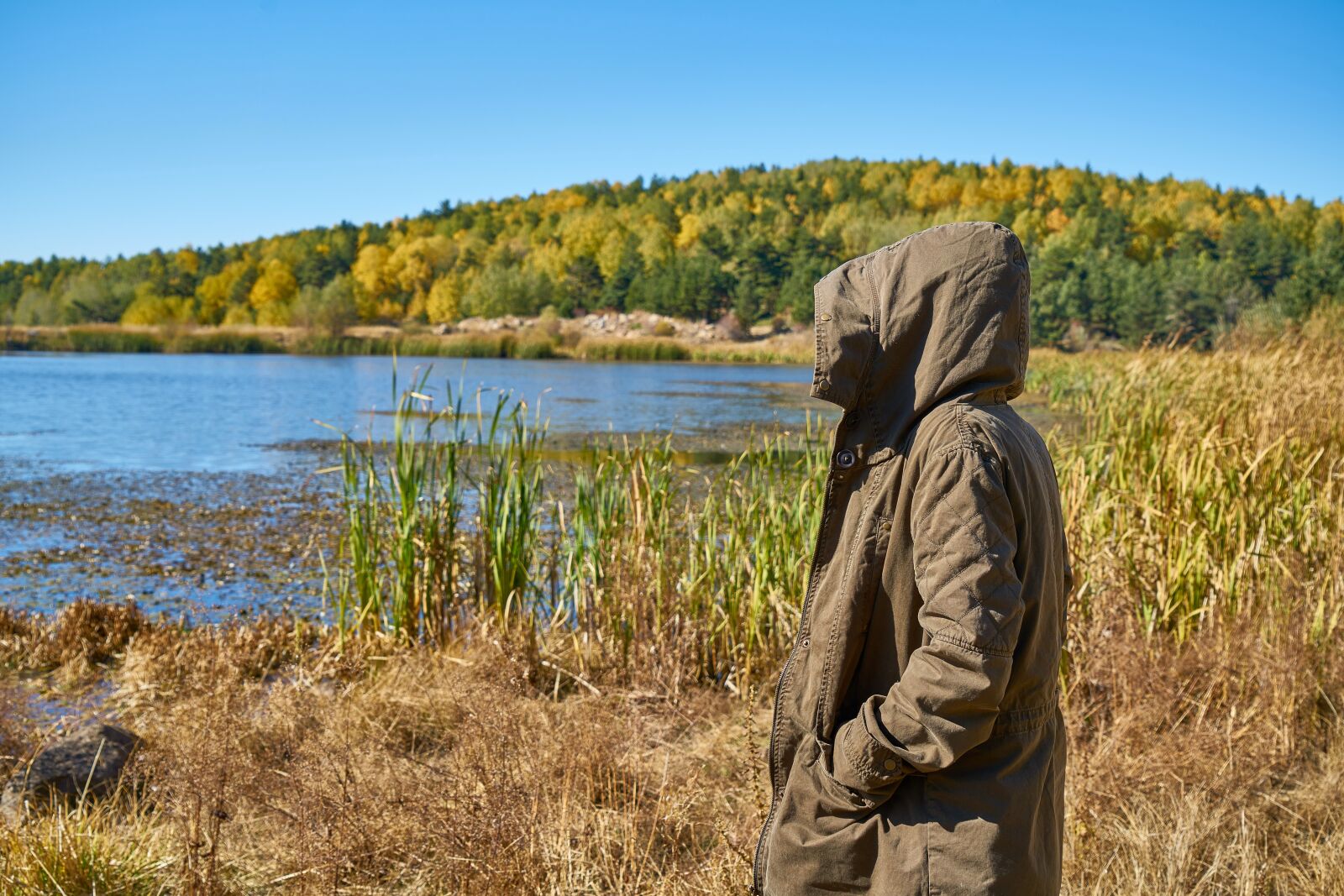 Sony a7R II sample photo. Autumn, season, landscape photography
