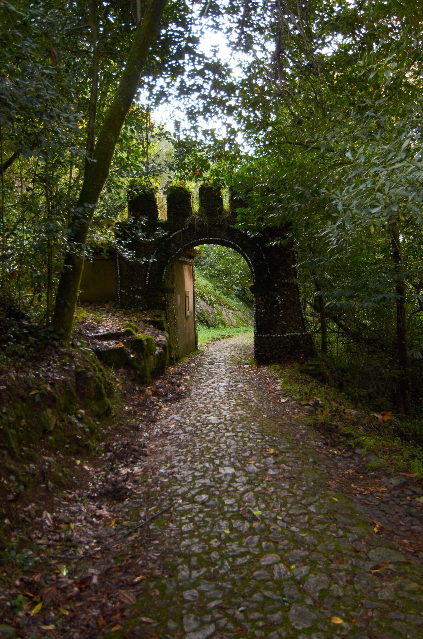 Nikon D7000 sample photo. Path, forest, castle photography