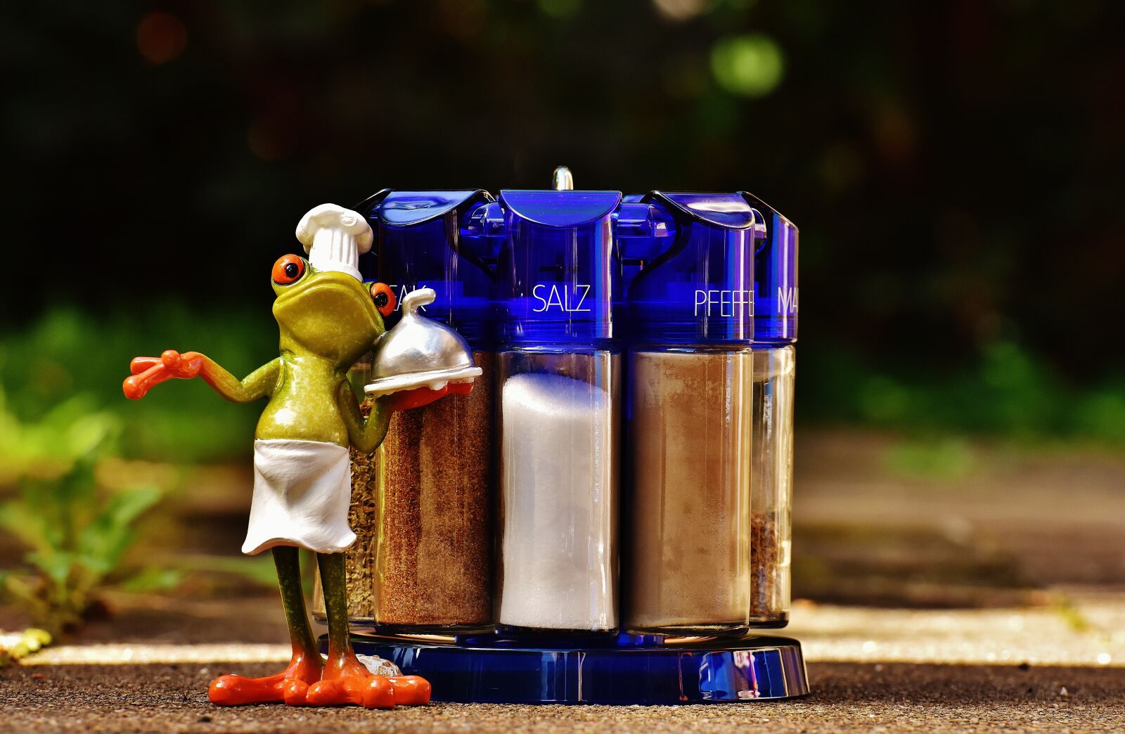 Nikon D7200 sample photo. Frog, cooking, spices photography