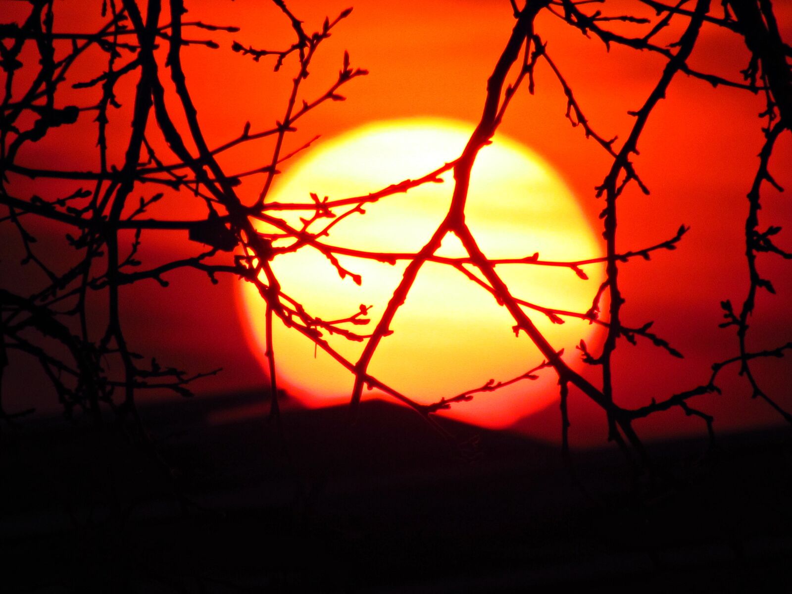 Canon PowerShot SX30 IS sample photo. The sun, west, sky photography