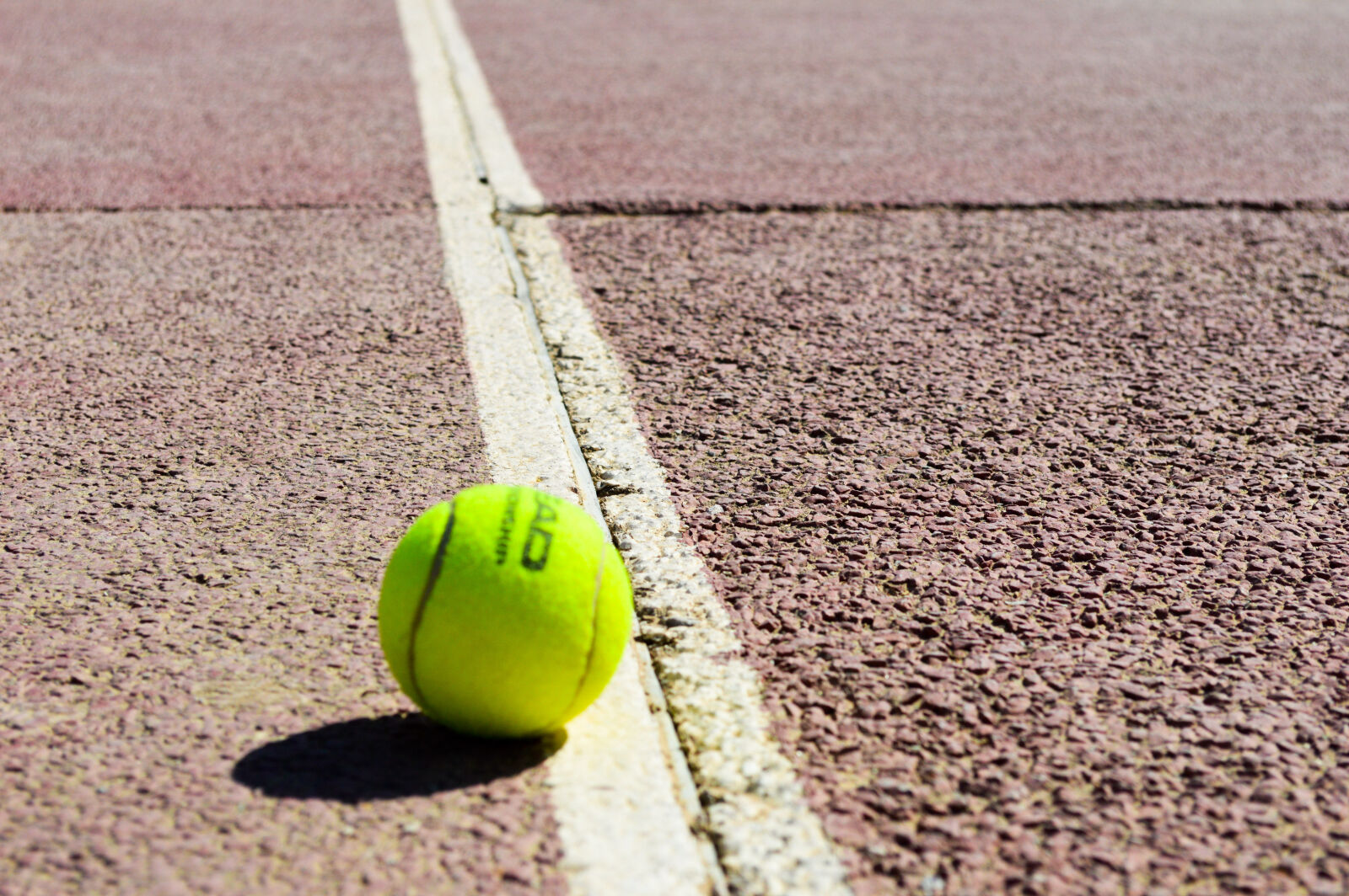 Nikon D3200 sample photo. Tennis, tennisball, tunisie photography