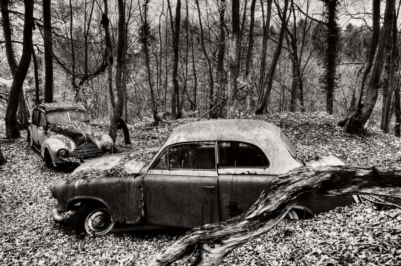 Nikon D300S sample photo. Auto, car cemetery, pkw photography