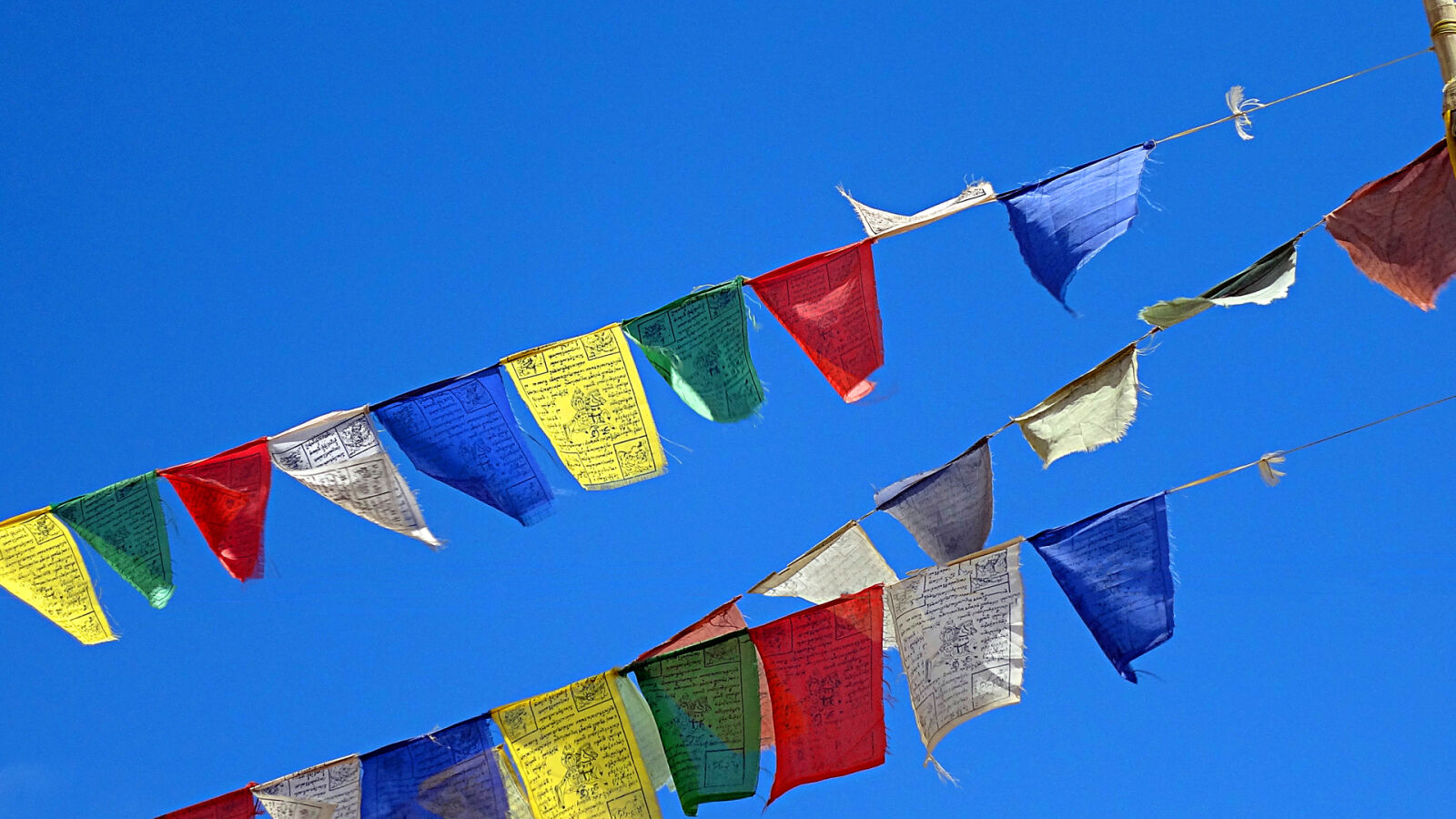 Sony DSC-WX7 sample photo. Ladakhi, flags photography