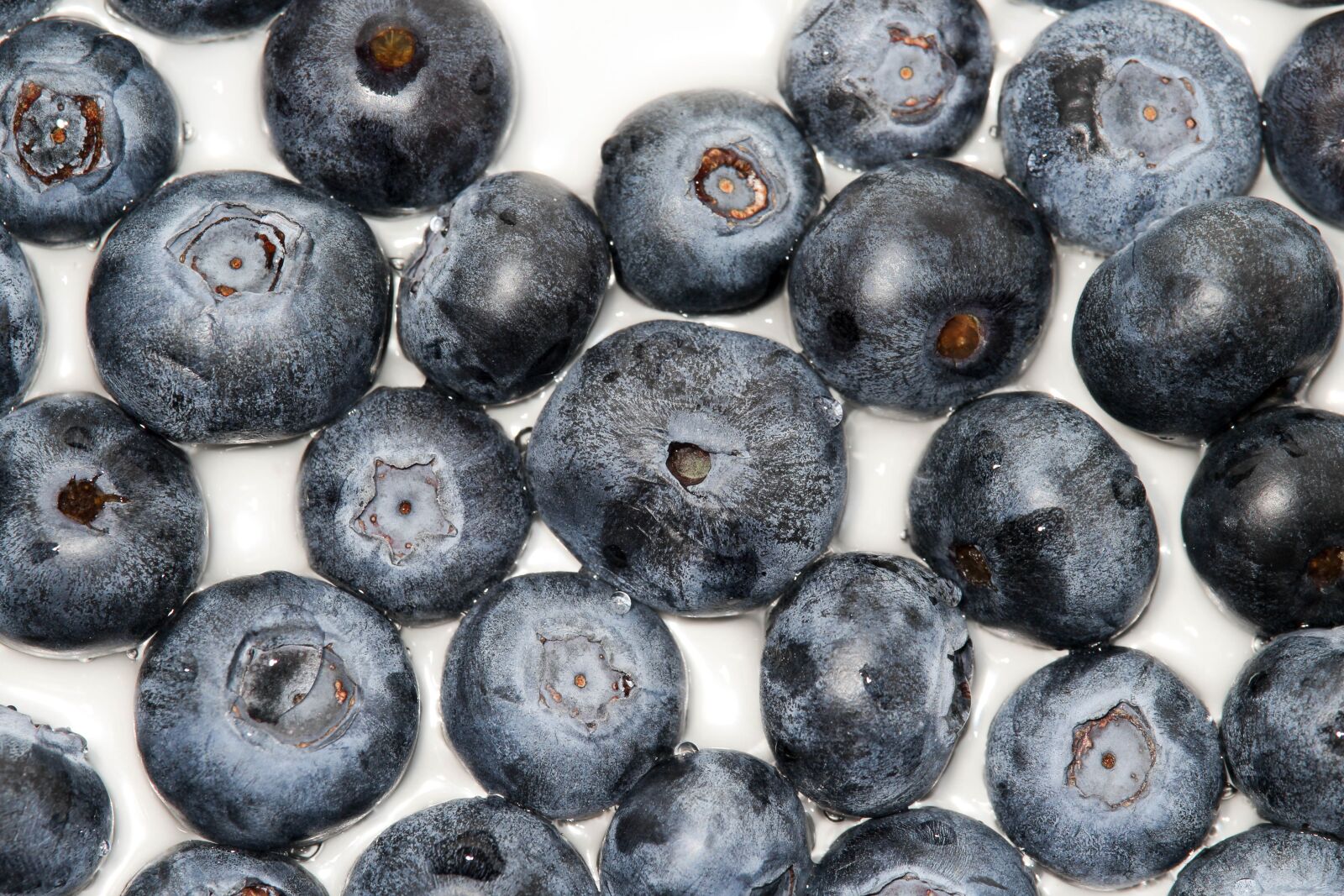 Canon EOS 1200D (EOS Rebel T5 / EOS Kiss X70 / EOS Hi) sample photo. Fruit, food, berry photography