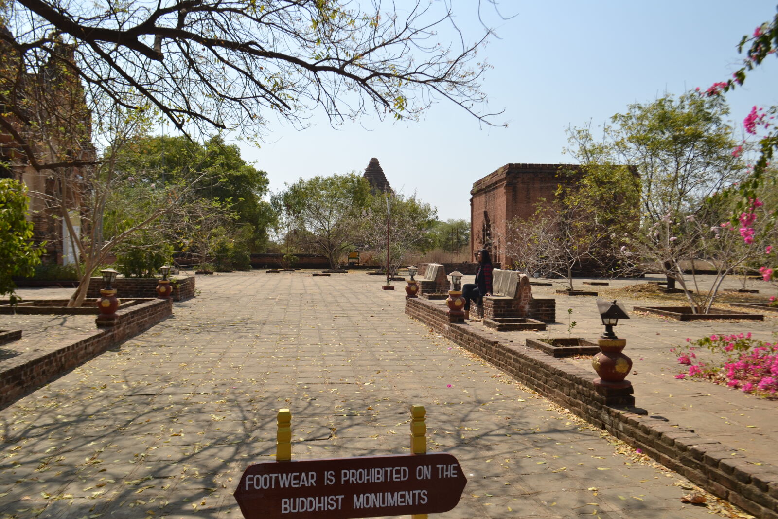 Nikon D3100 sample photo
